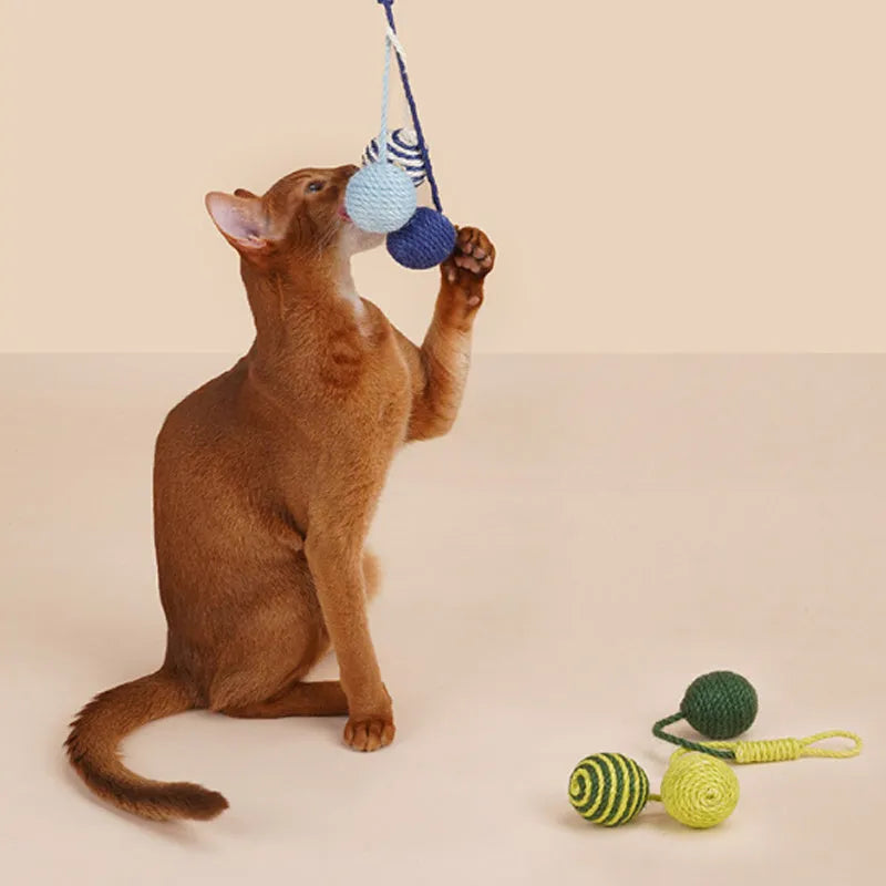 Blue and green cat toy set with a teaser stick and a catnip ball on a white background.