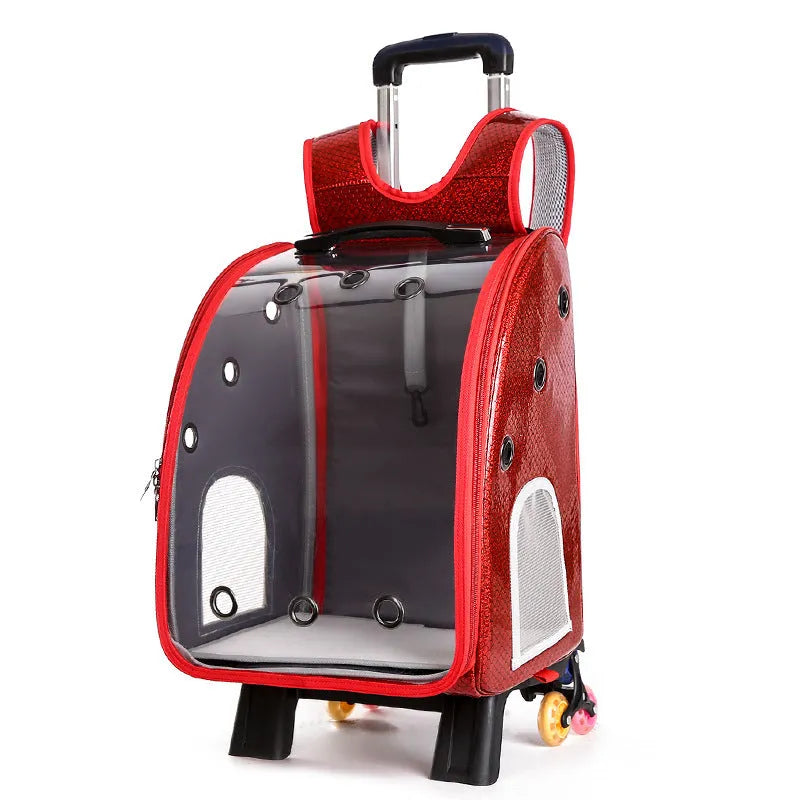 Transparent folding pet carrier bag for small dogs and cats with shoulder strap