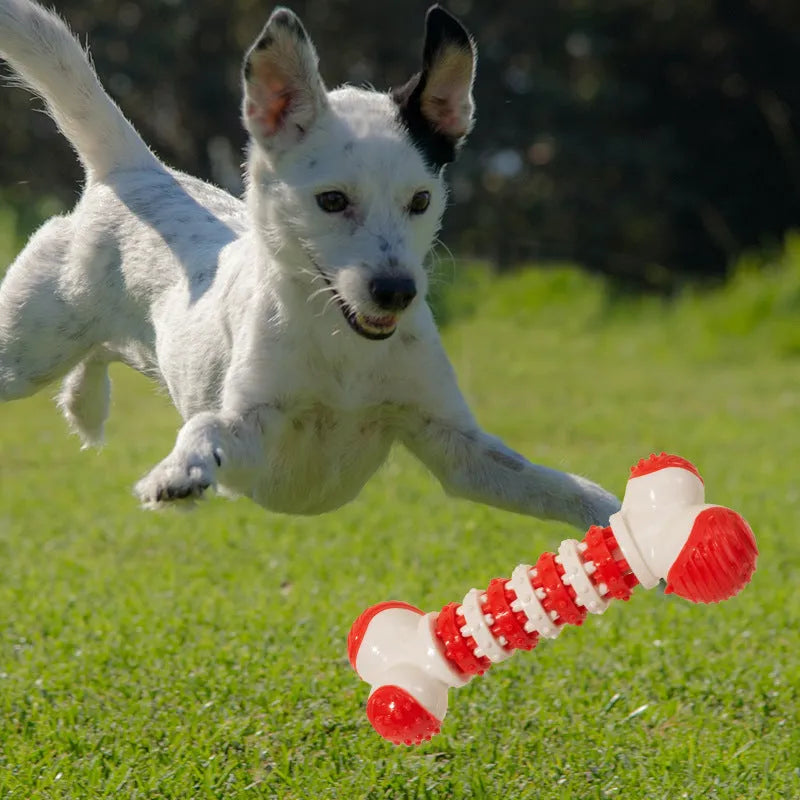 Blue bone-shaped interactive dog chew toy for small breeds with a treat holder cavity.