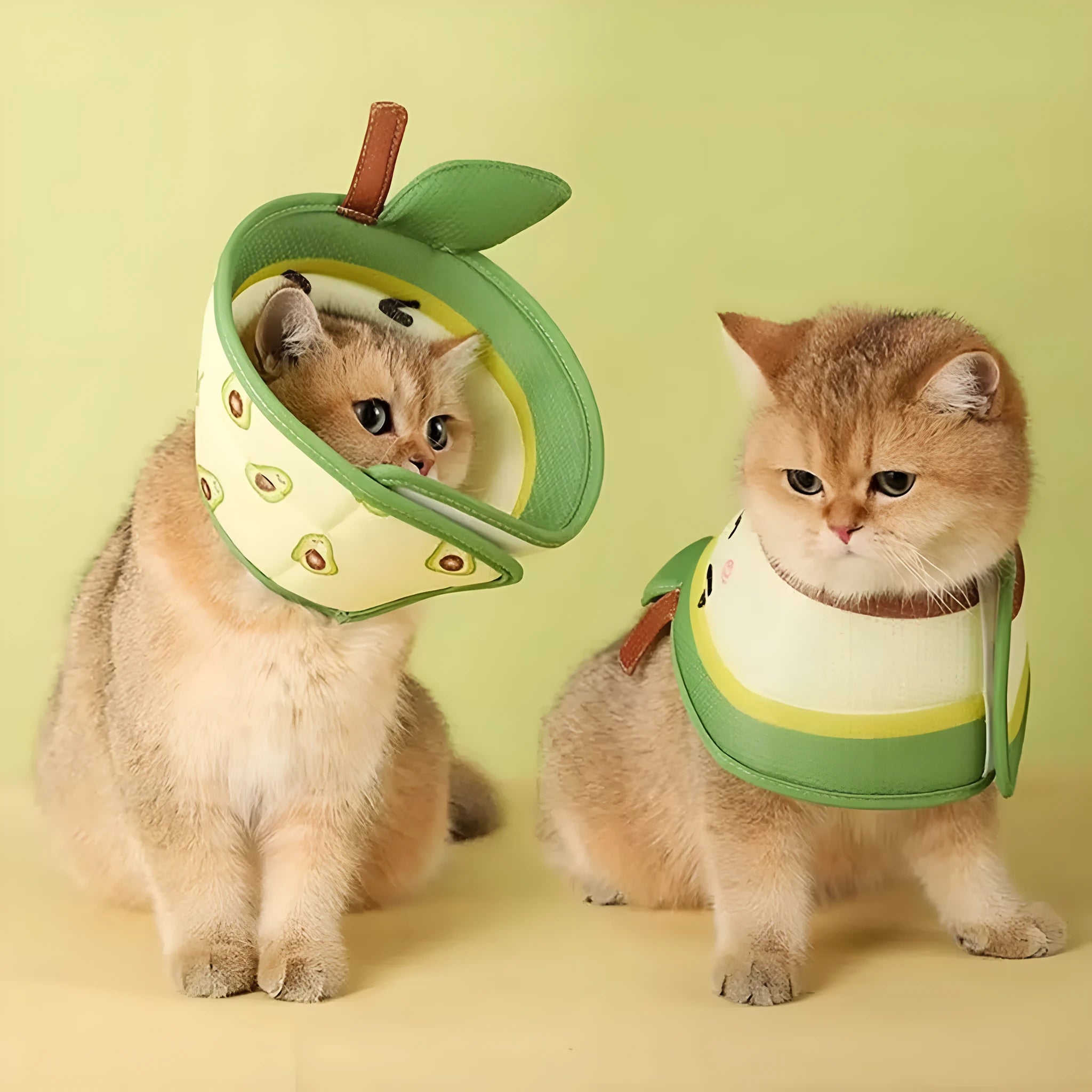 Soft grey EPE foam Elizabethan cone collar for cats with white adjustable neck strap.