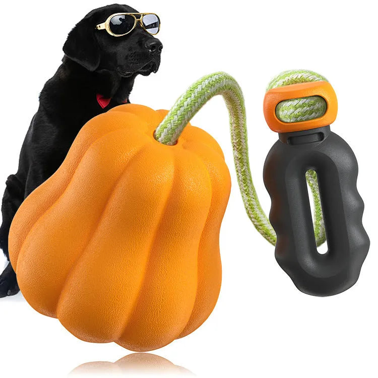 Bite Molar plastic dog fetch toy in single pumpkin colour with rope attachment