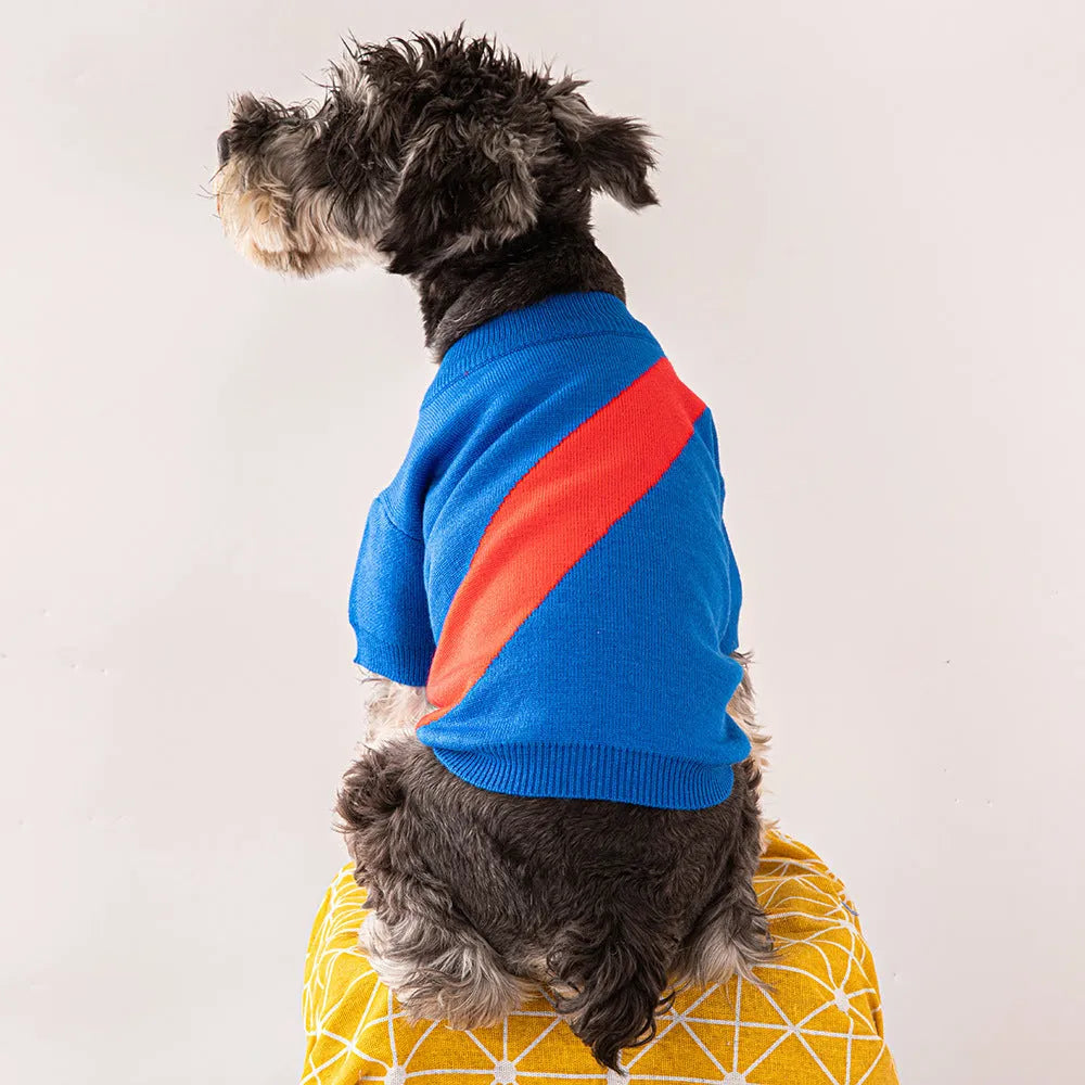 A small dog wearing a casual wool jumper in one of six available colours: black, orange red, pink, milky white, light green, or sapphire blue.