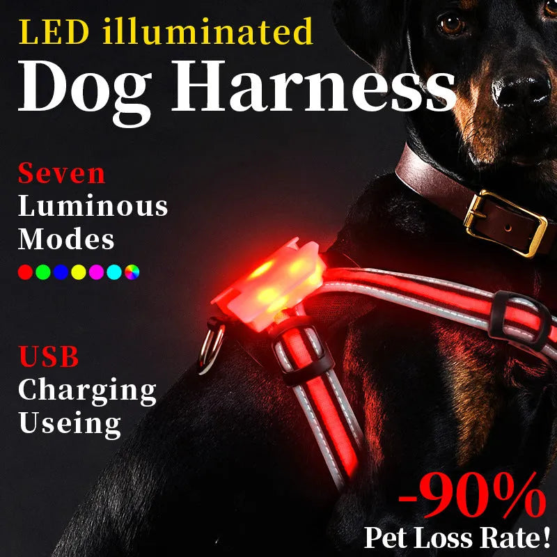 Nylon luminous dog hand holding rope with seven-colour transformation and charging cable