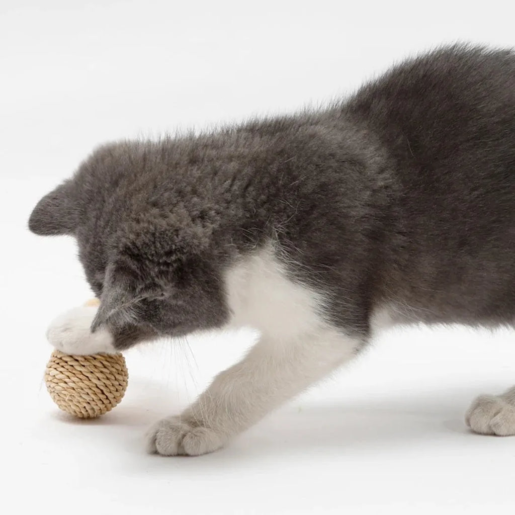 Two cat toys: rattan ball and faux feather ball with bell attachment for interactive play