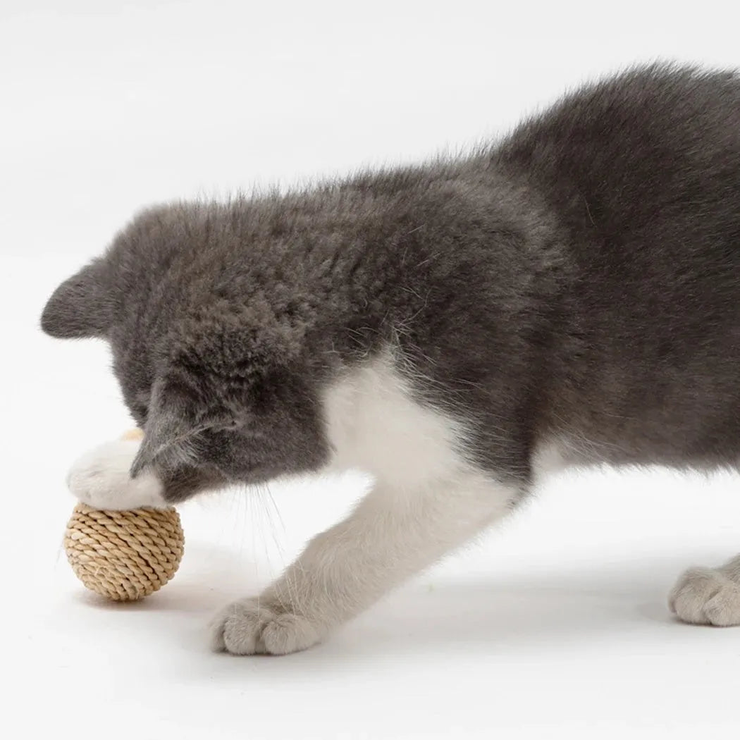 Two cat toys: rattan ball and faux feather ball with bell attachment for interactive play