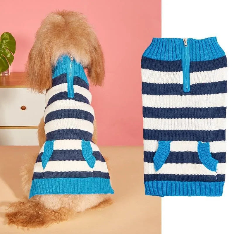 Small dog wearing a grey sweater with a horizontal blue zipper pocket on the side.