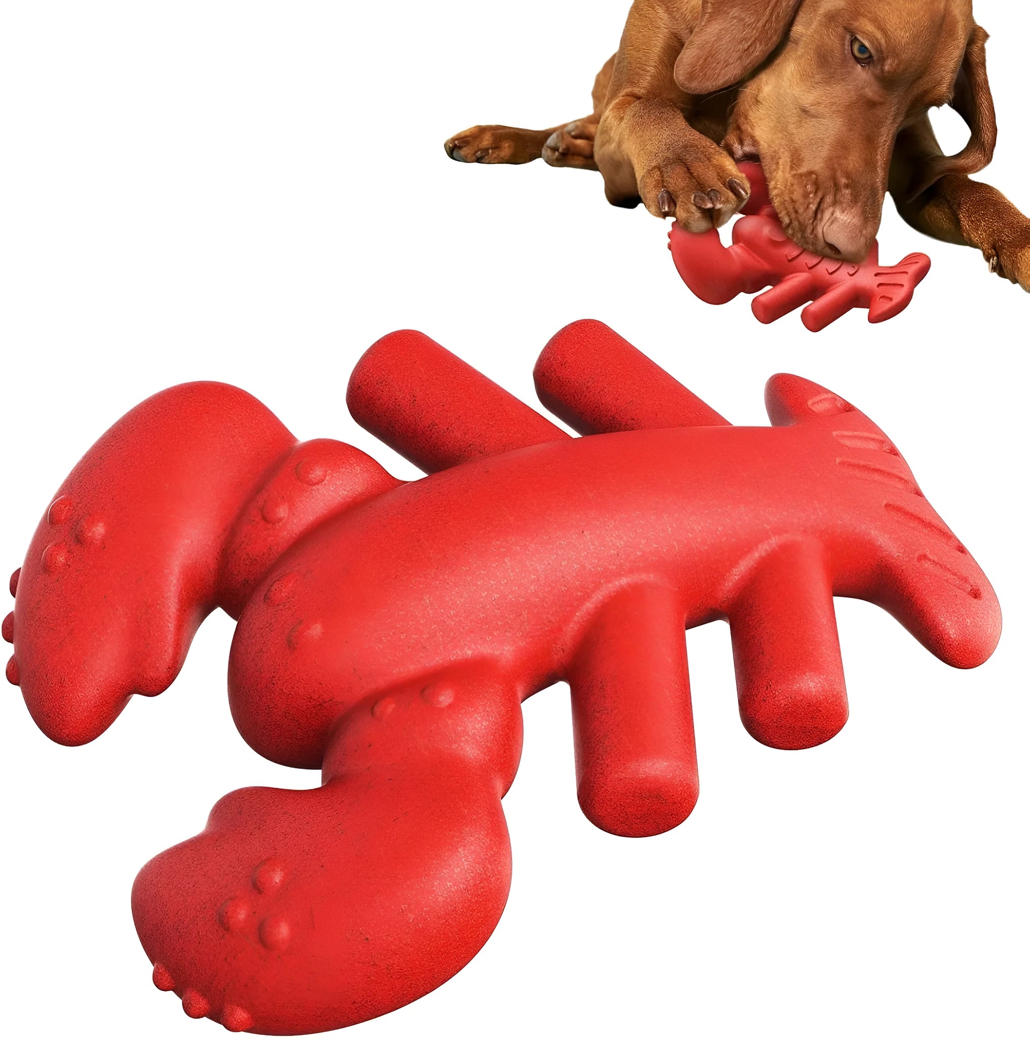 Red hard-wearing dog chew bone for aggressive chewers and large breed dogs