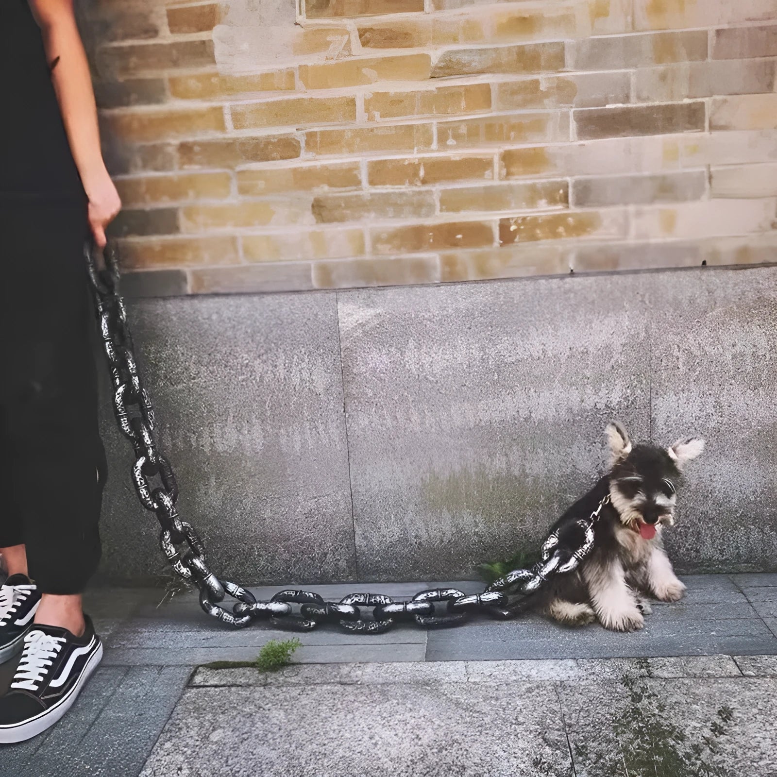 Simulated plastic dog leash prop in bronze colour for video parody content