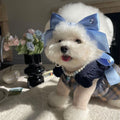 Blue princess-style bow dog hair band with adjustable tension on a model.