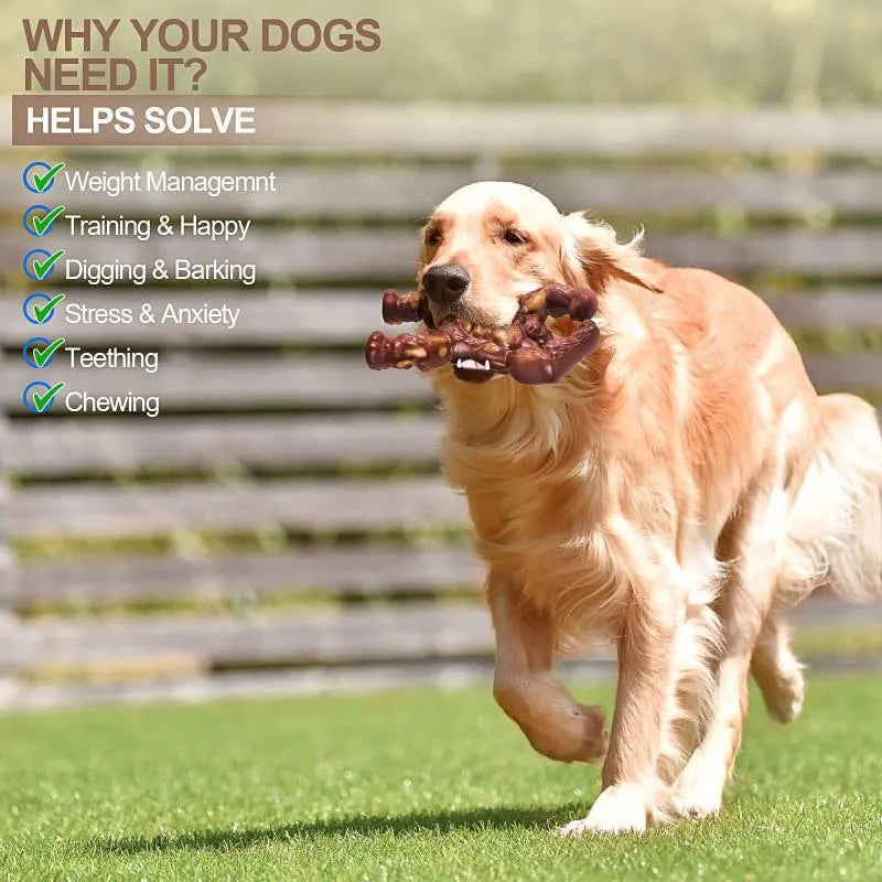 Scarlet nylon dog chew toy with beef flavour for dental cleaning