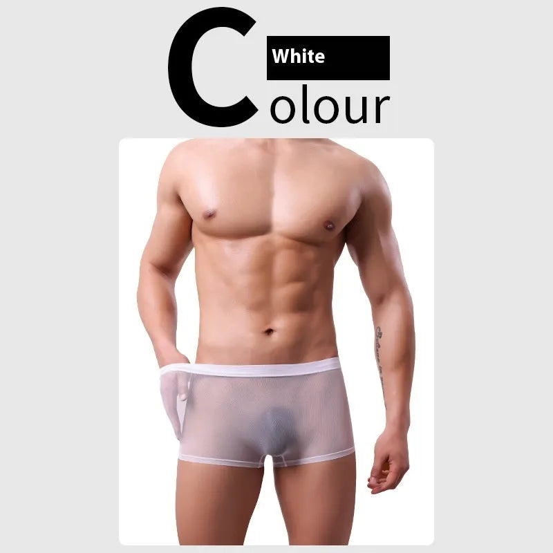 Men's thin sheer mesh boxer briefs in multiple colours with low waist design