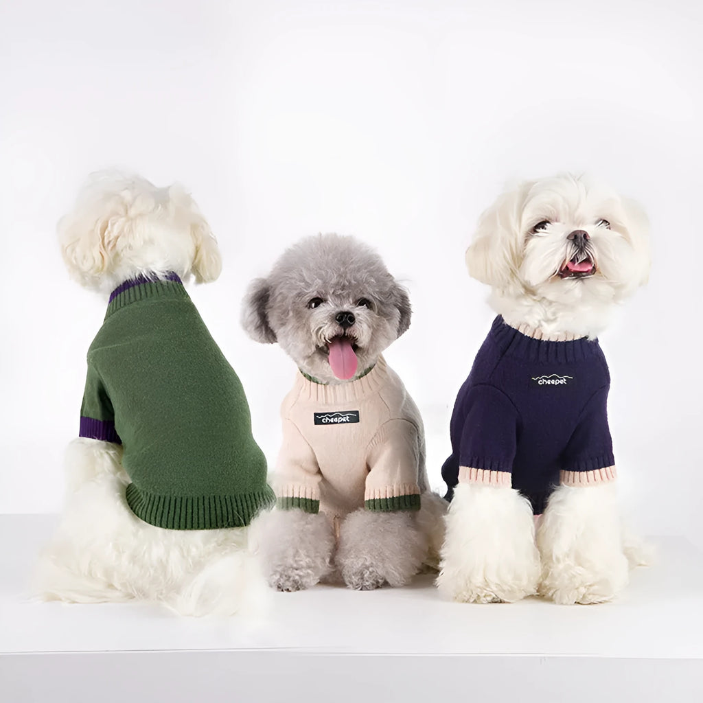 British style woollen dog sweater with contrast colour trim on a dog, showing two-leg design.