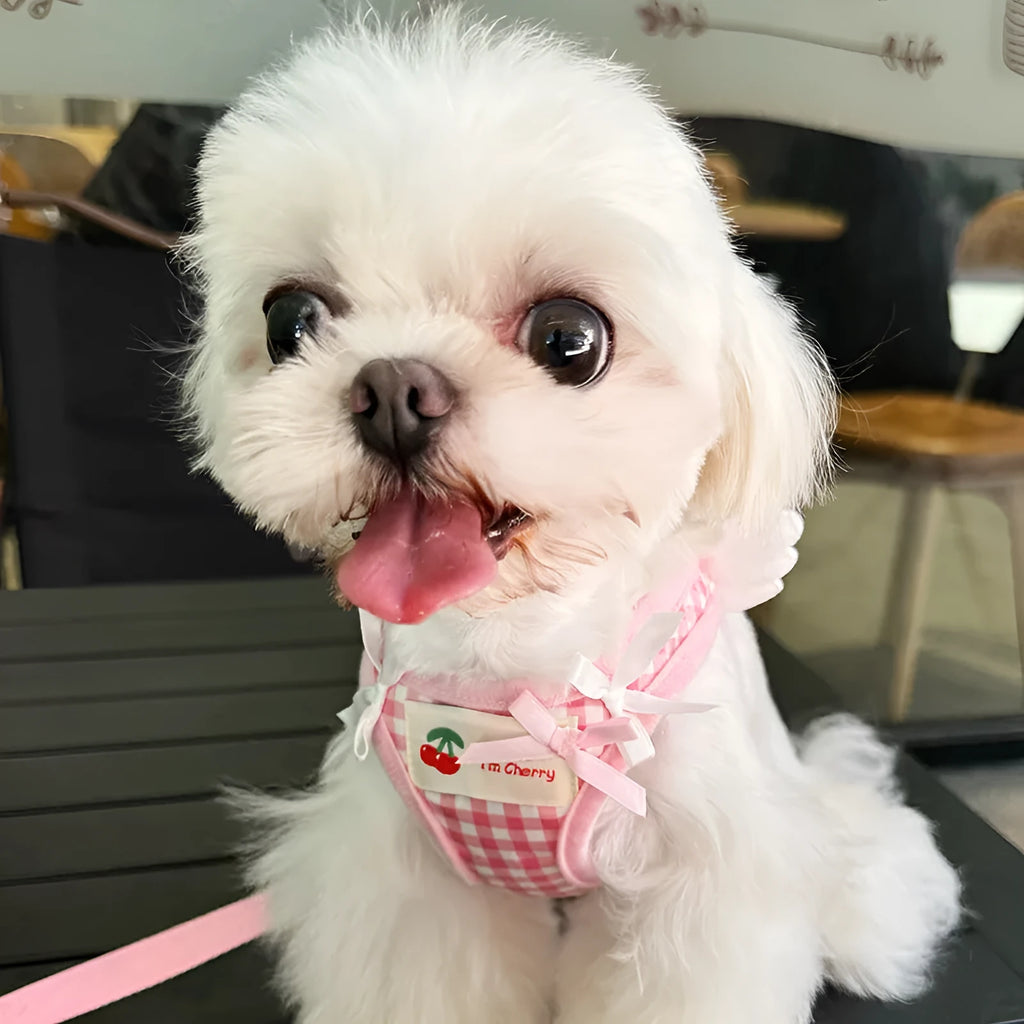 Pink and black cotton chest and back dog harness with hand holding rope in sizes XS to 2XL.