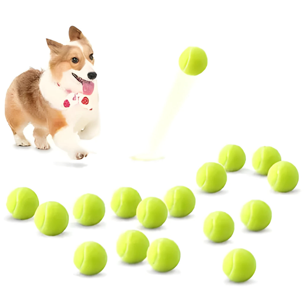 6.3cm rubber tennis ball dog toy in bright colours for bite-resistant play