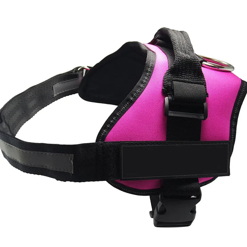 Adjustable no-pull dog harness with reflective strips and a sturdy handle on a dog.