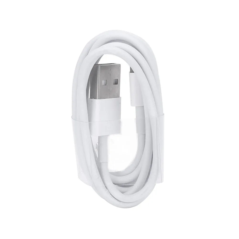 Compact white USB travel charger with 5V 2A output next to iPhone and iPad showing compatibility