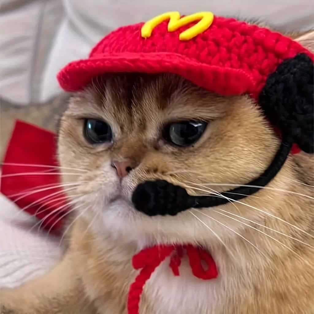Handmade chef hat and cotton knitted sweater on a small cat for a birthday costume
