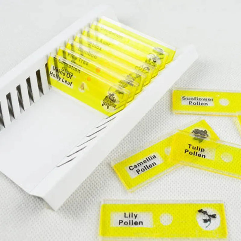 Set of 48 colour-coded plastic microscope slides for children's biology education