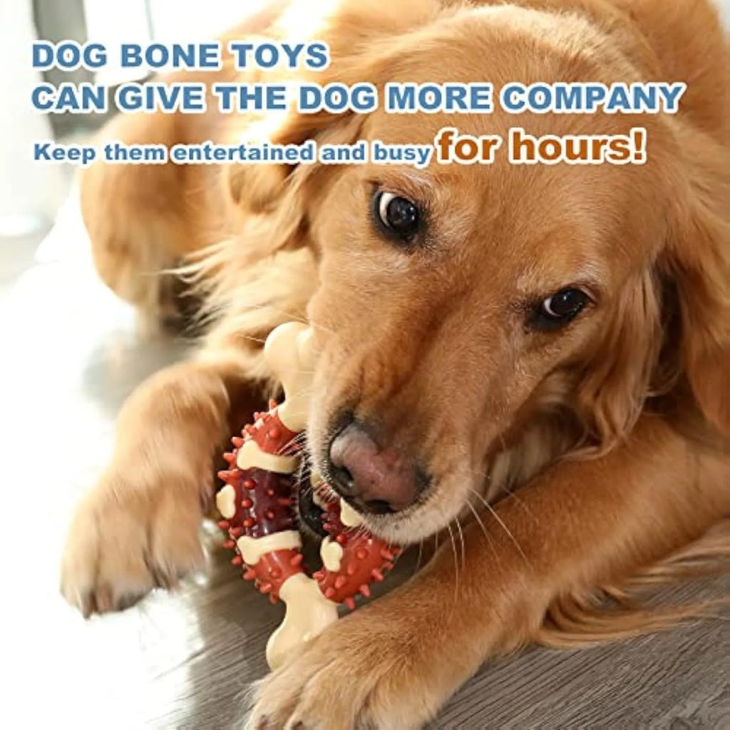 Natural rubber bone-shaped dog teeth grinding toy shown in two sizes for oral health and anxiety relief