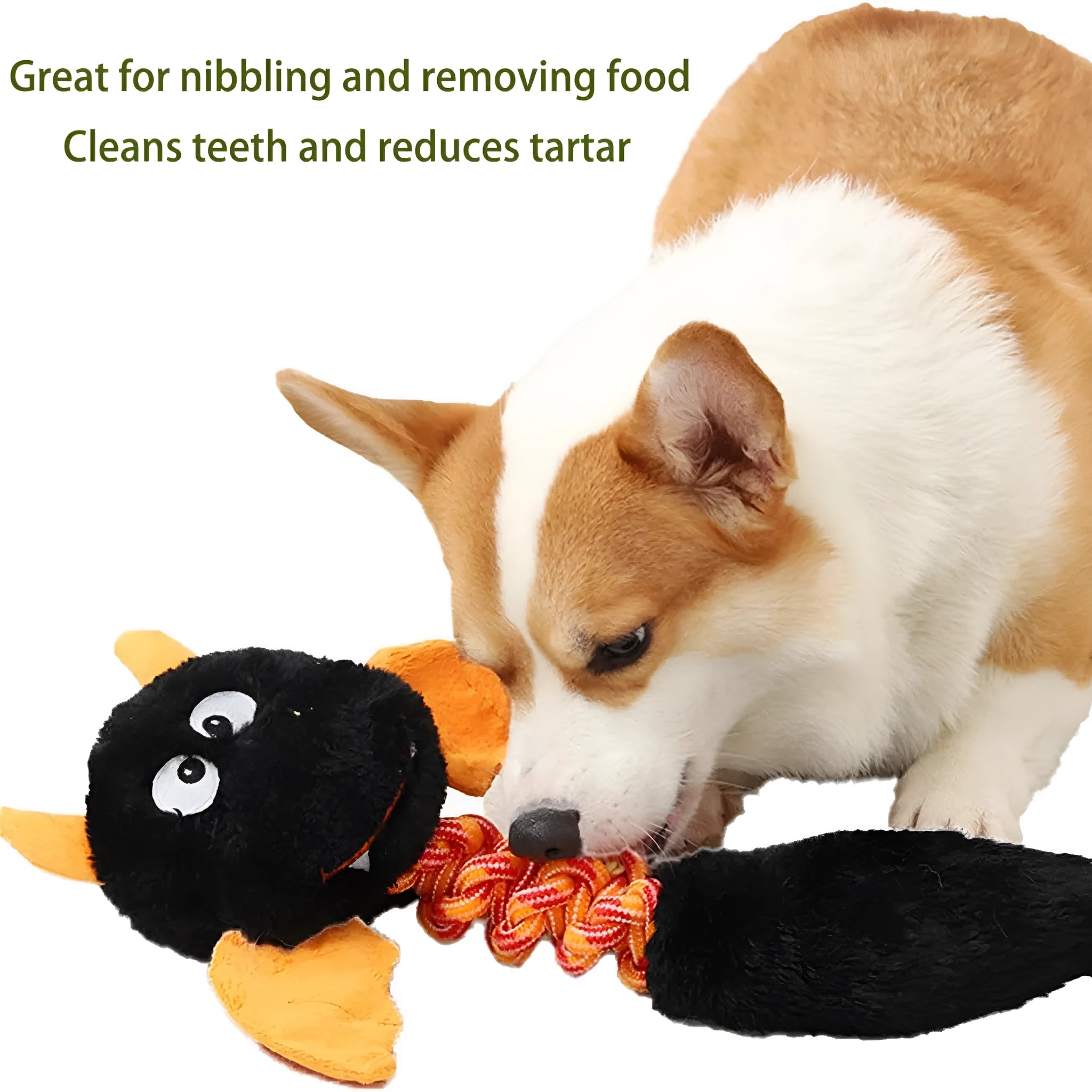 44cm plush squeaky dog toy with rabbit fleece fabric in black, green, or red colour options