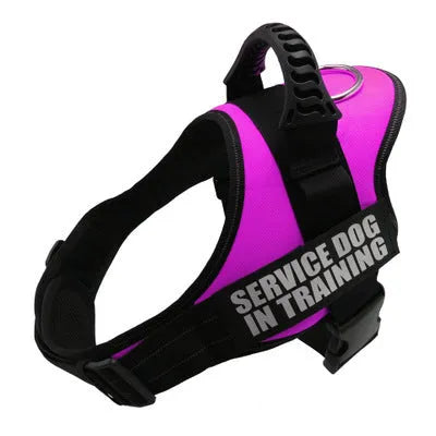 Adjustable no-pull dog harness with reflective strips and a sturdy handle on a dog.