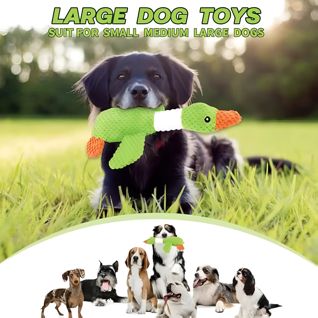 Blue duck plush dog toy with squeakers measuring 33cm long
