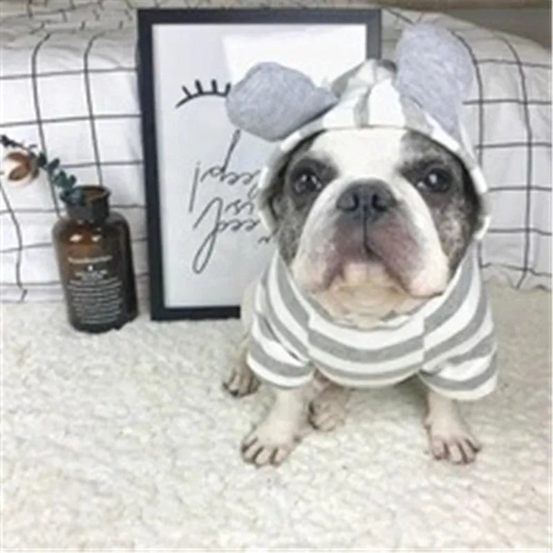 Grey cotton striped sweater on a small pet with ribbed trim