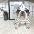 Grey cotton striped sweater on a small pet with ribbed trim