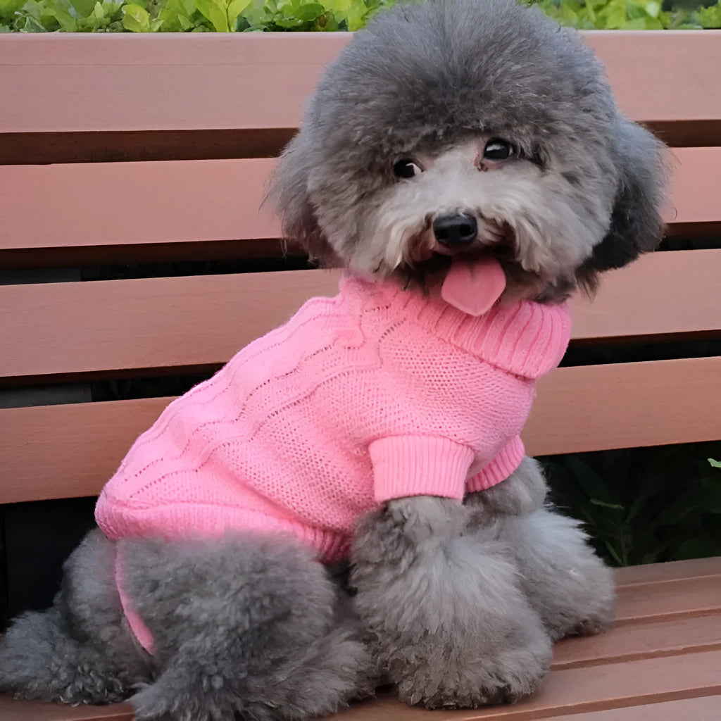 Knitted wool dog sweater in eight colours with fabric buttons for small to large dogs