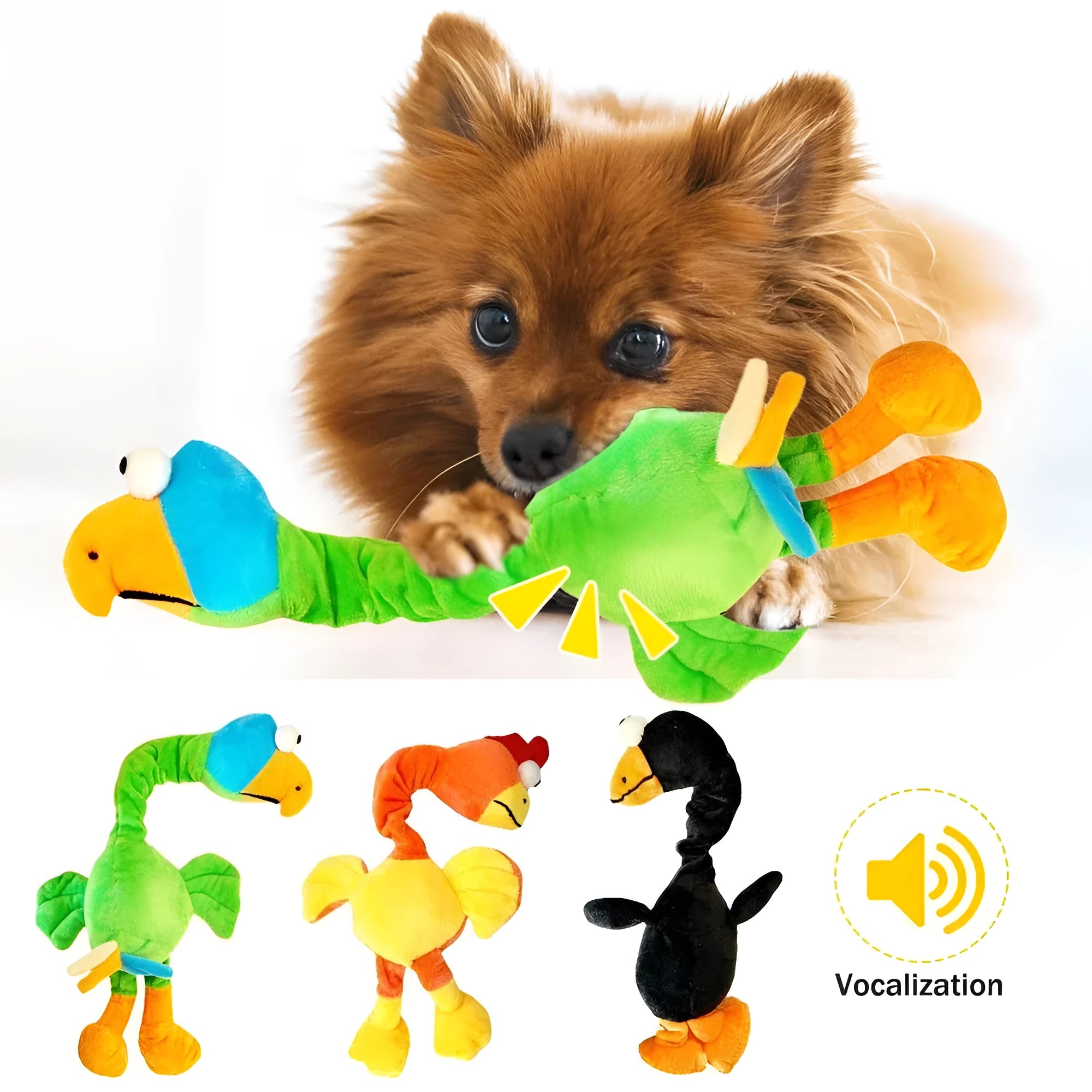 Squeaky screaming chicken dog chew toy in black, green, or orange colour