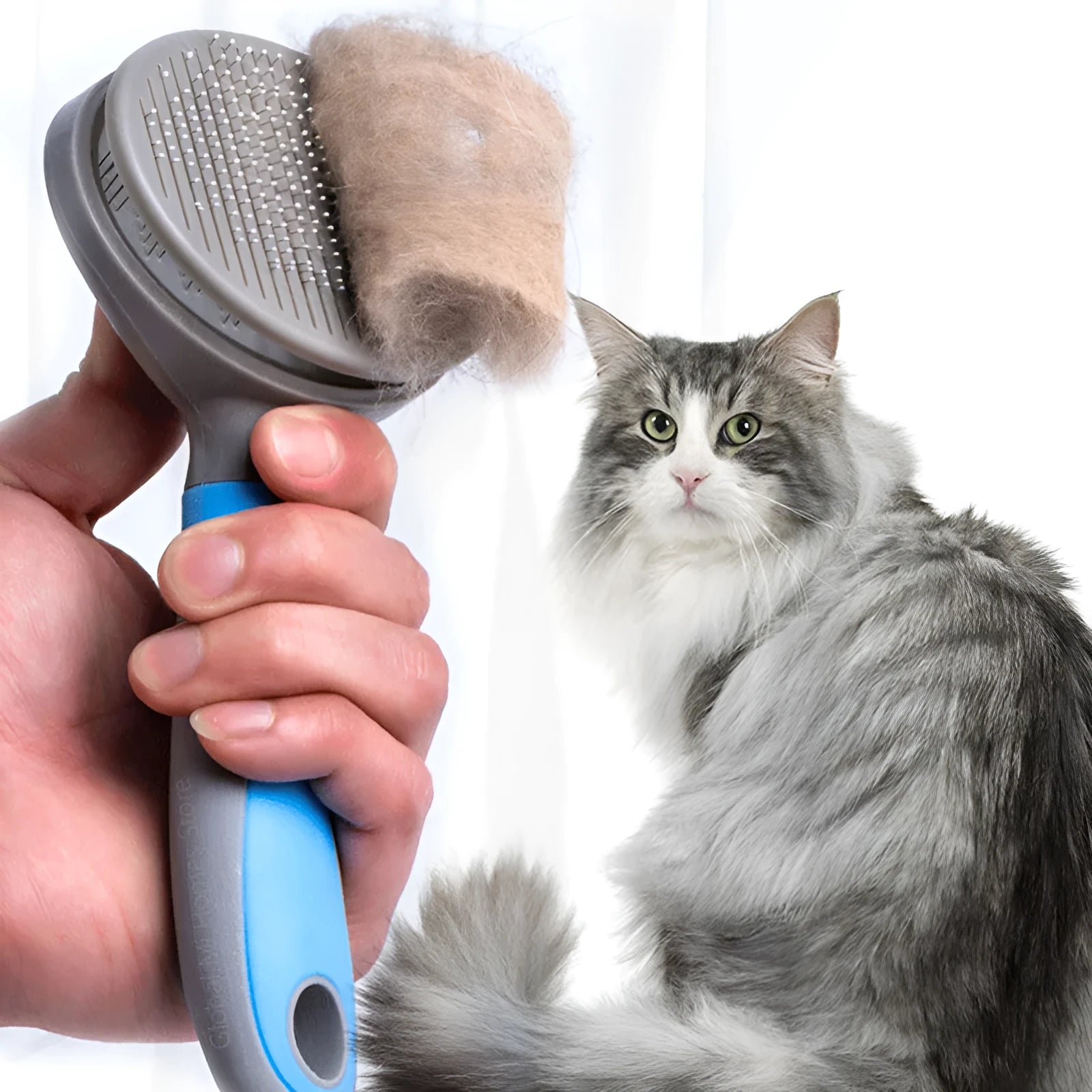 Double-sided steel needle pet grooming brush with plastic handle in blue and pink colours