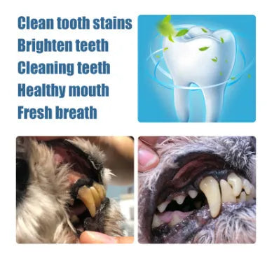 Yegbong pet teeth whitening pen with dental brush attachments for dogs and cats