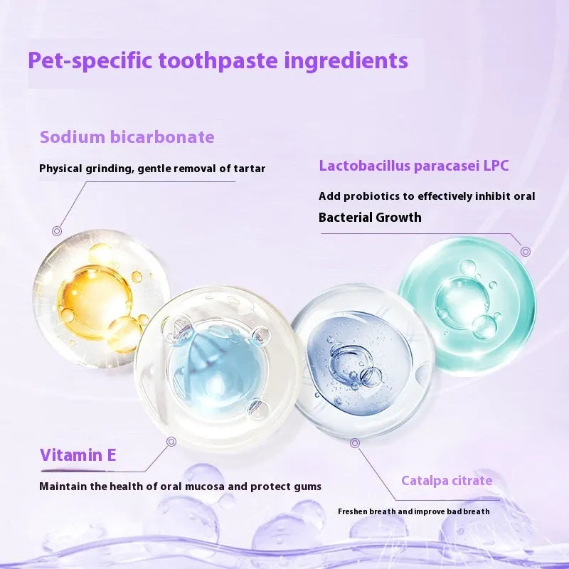 White pet teeth cleaning pen with 5ml gel for dogs and cats