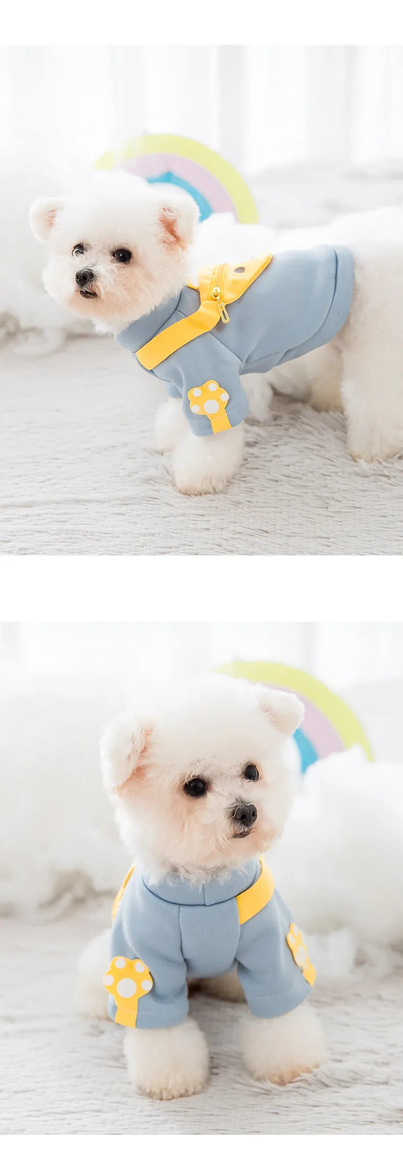Blue milk silk cartoon backpack pet clothes sweater for small to large dogs