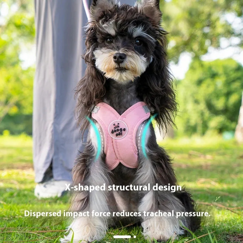 Dog vest with attached holding rope in polyester material, available in multiple colours and sizes