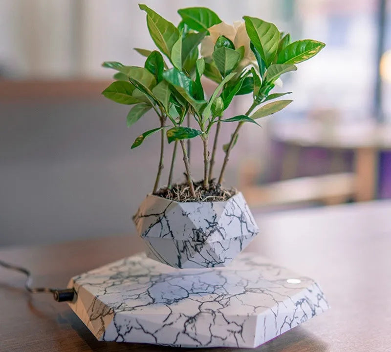 Small marble-colour magnetic levitating plant pot rotating above its base