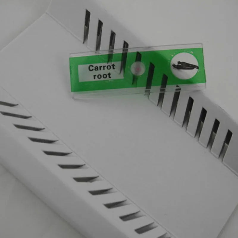 Set of 48 colour-coded plastic microscope slides for children's biology education