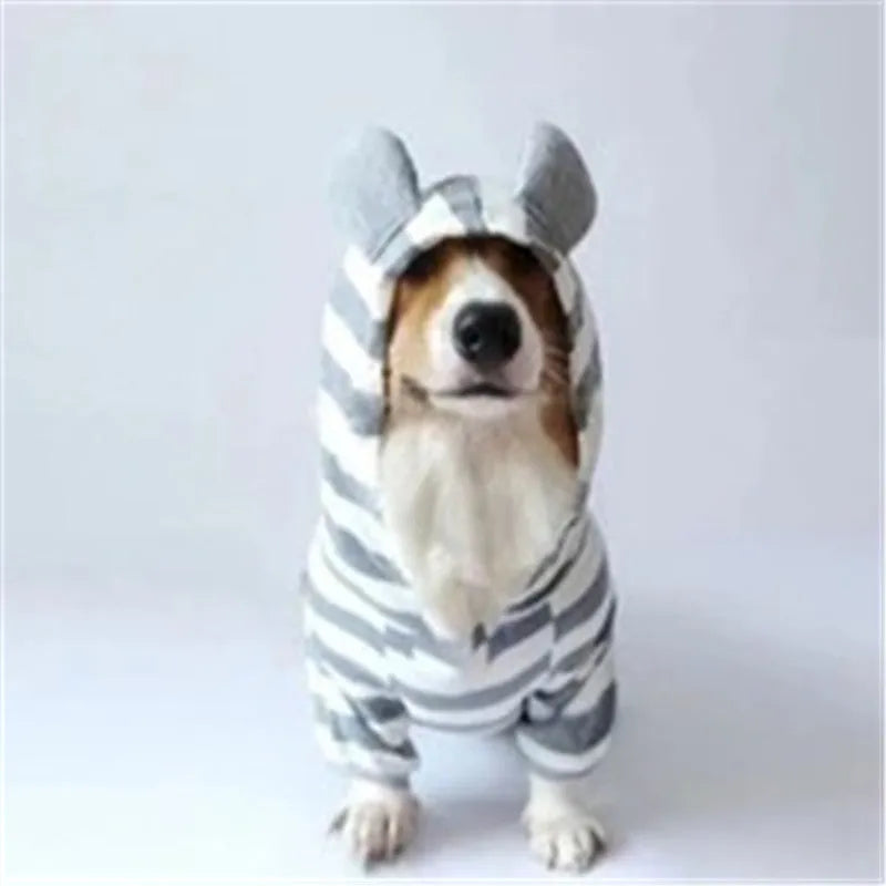 Grey cotton striped sweater on a small pet with ribbed trim