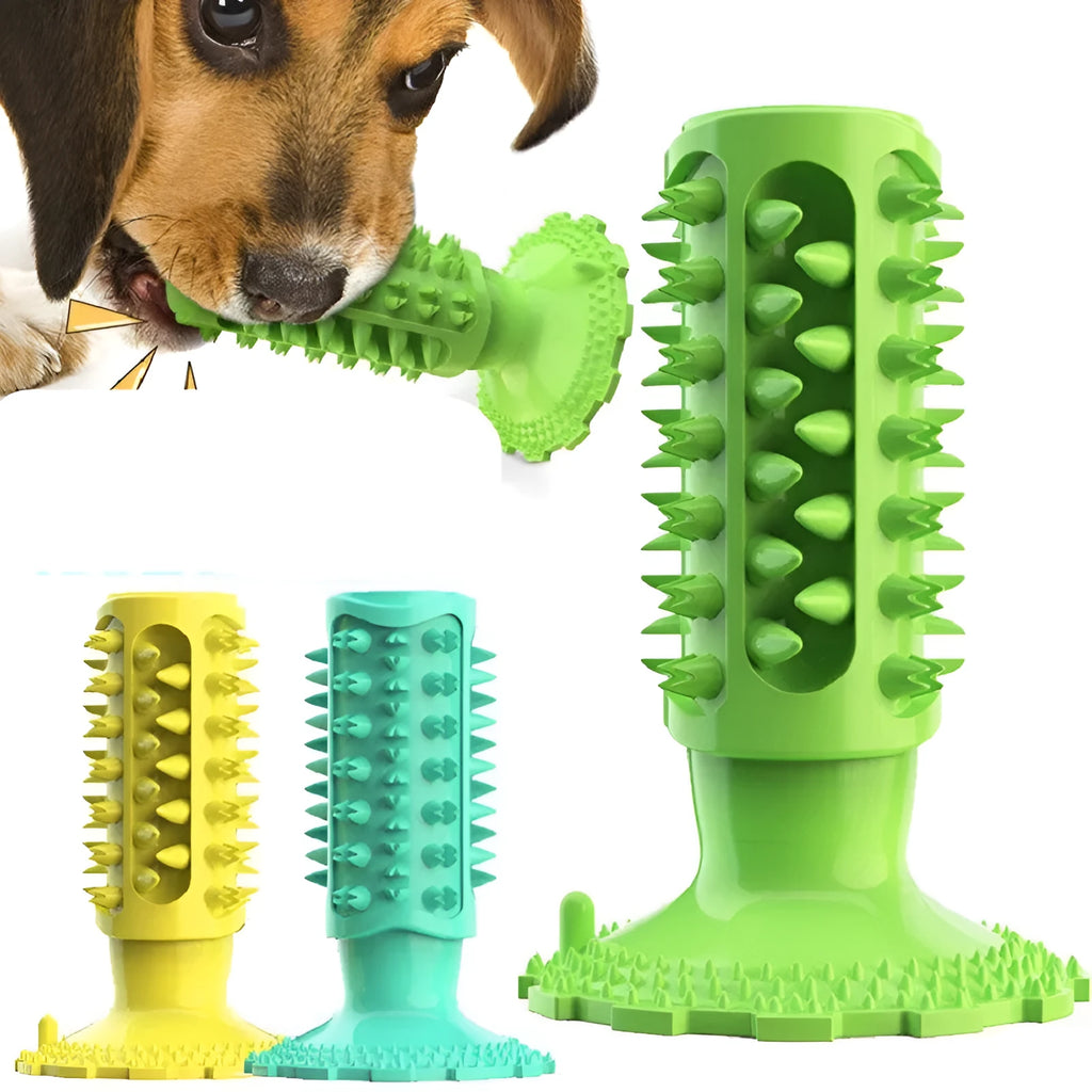 TPR teeth cleaning dog toothbrush molar stick in lake blue with serrated surface on white background
