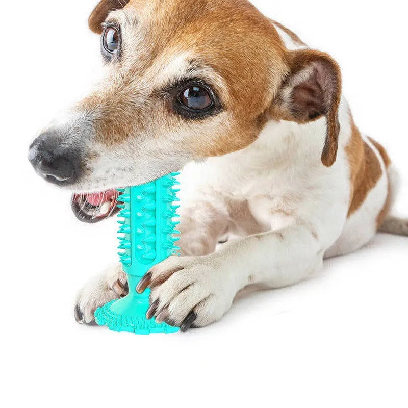 TPR teeth cleaning dog toothbrush molar stick in lake blue with serrated surface on white background