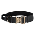 Nylon dog walking P chain slip collar for medium and large dogs 40-60cm neck circumference in black or brown