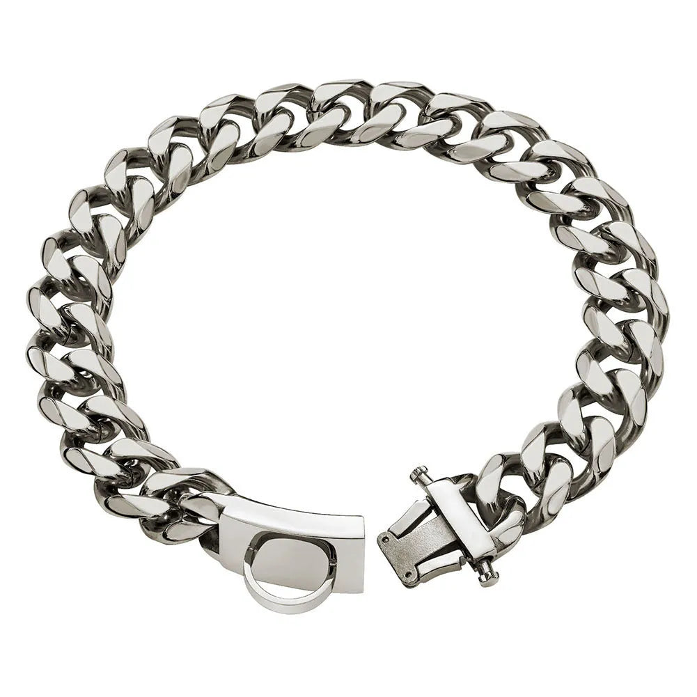 Kaslow 19mm titanium steel dog collar chain in silver for medium and large breeds