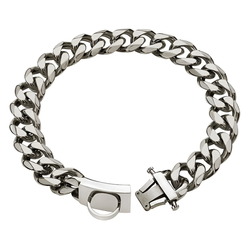 Kaslow 19mm titanium steel dog collar chain in silver for medium and large breeds