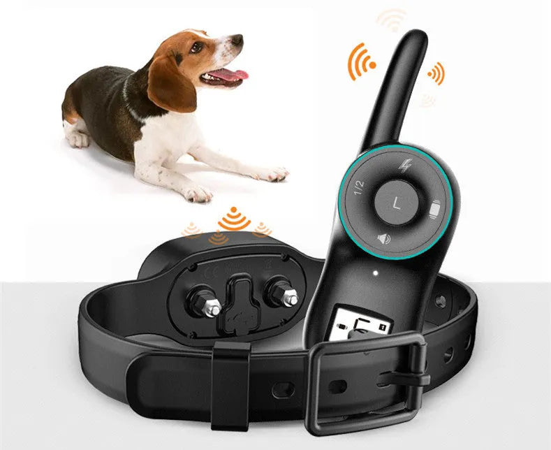 Black and orange remote control dog training collar with rechargeable receiver on a nylon strap.