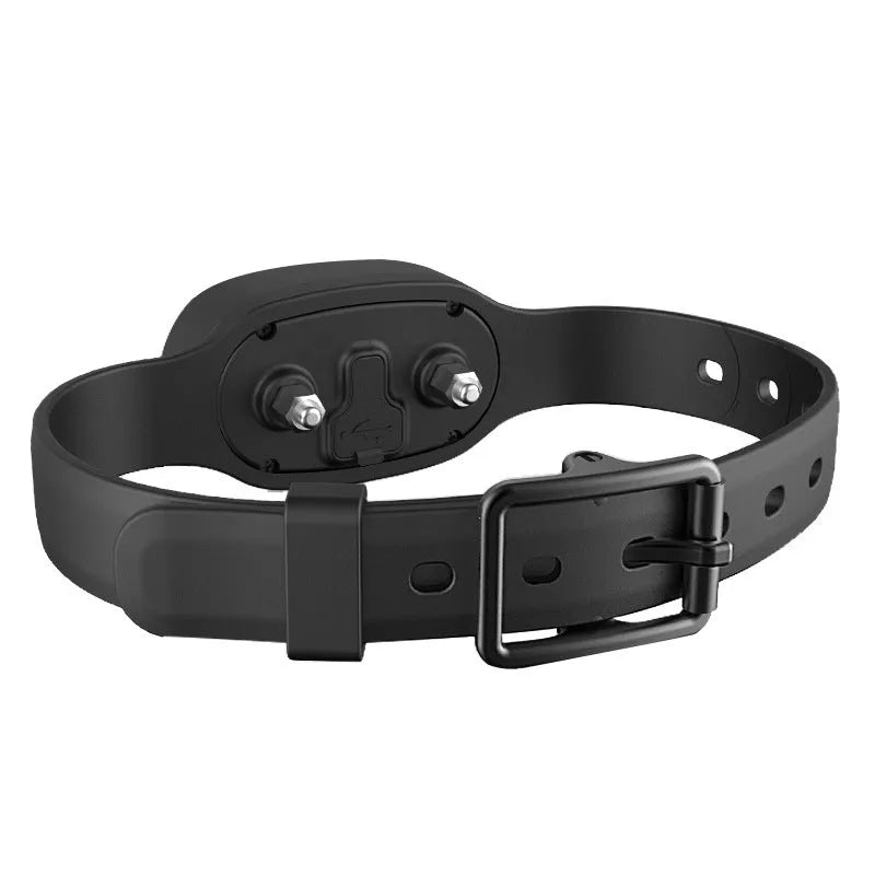 Black and orange remote control dog training collar with rechargeable receiver on a nylon strap.