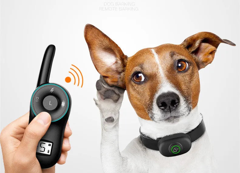 Black and orange remote control dog training collar with rechargeable receiver on a nylon strap.