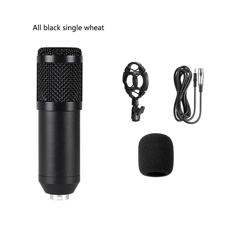 BM800 condenser microphone kit with sound card, metal shock mount, and pop filter on a desk