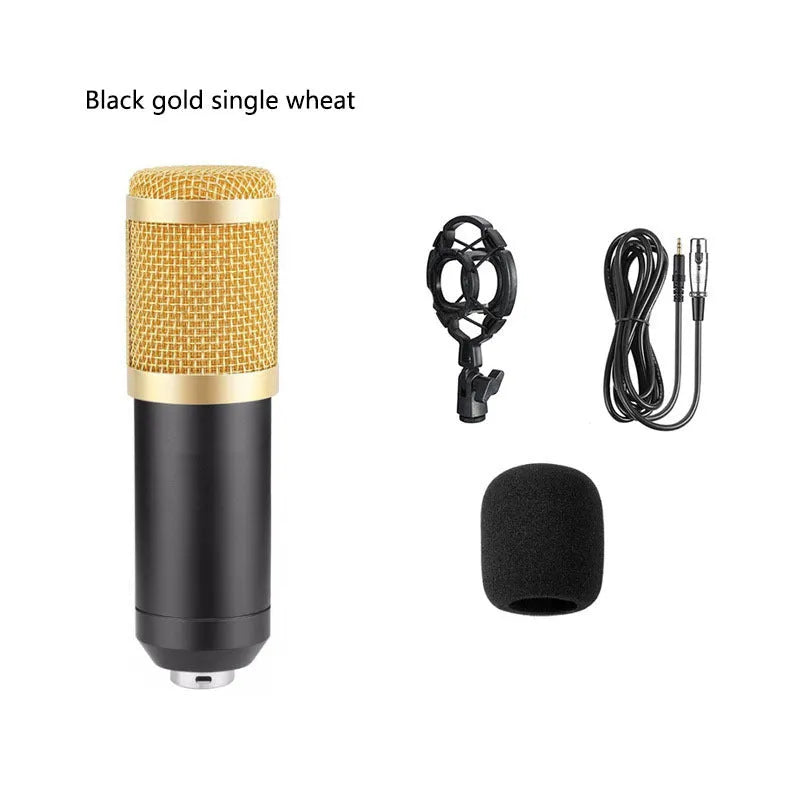 BM800 condenser microphone kit with sound card, metal shock mount, and pop filter on a desk