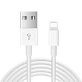 White 20W USB-C fast charger for iPhone 12 Pro Max and iPad with 1m cable