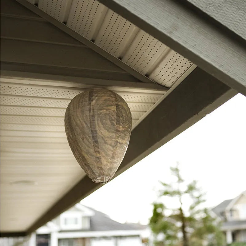Paper honeycomb lantern with hexagonal shape, 22cm wide by 28cm high, in photo colour finish.